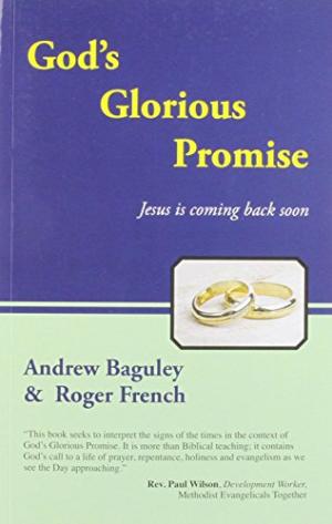 God's Glorious Promise By French Andrew (Paperback) 9781905991990