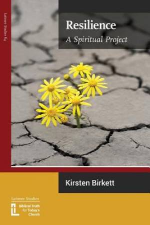 Resilience A Spiritual Project By Kirsten Birkett (Paperback)