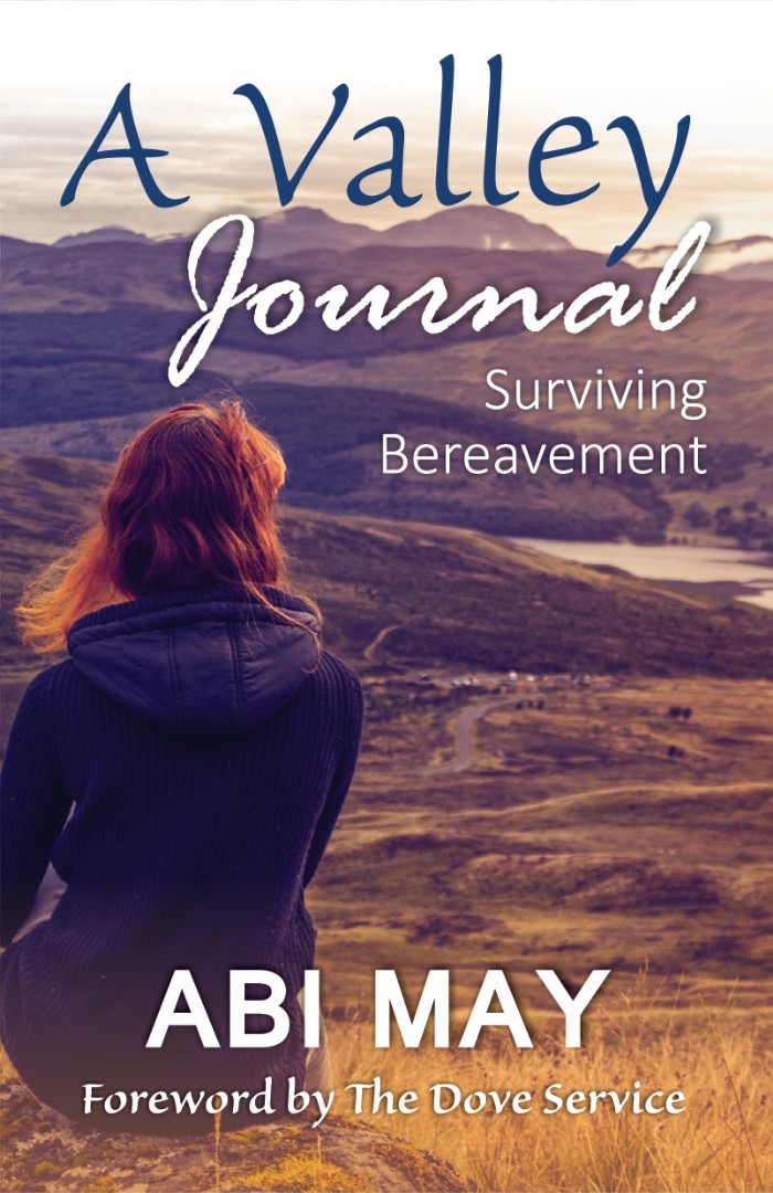 A Valley Journal By May Abi (Paperback) 9781907509995