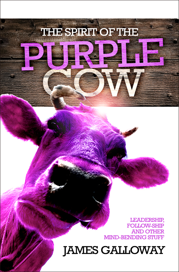 The Spirit Of The Purple Cow By James Galloway (Paperback)