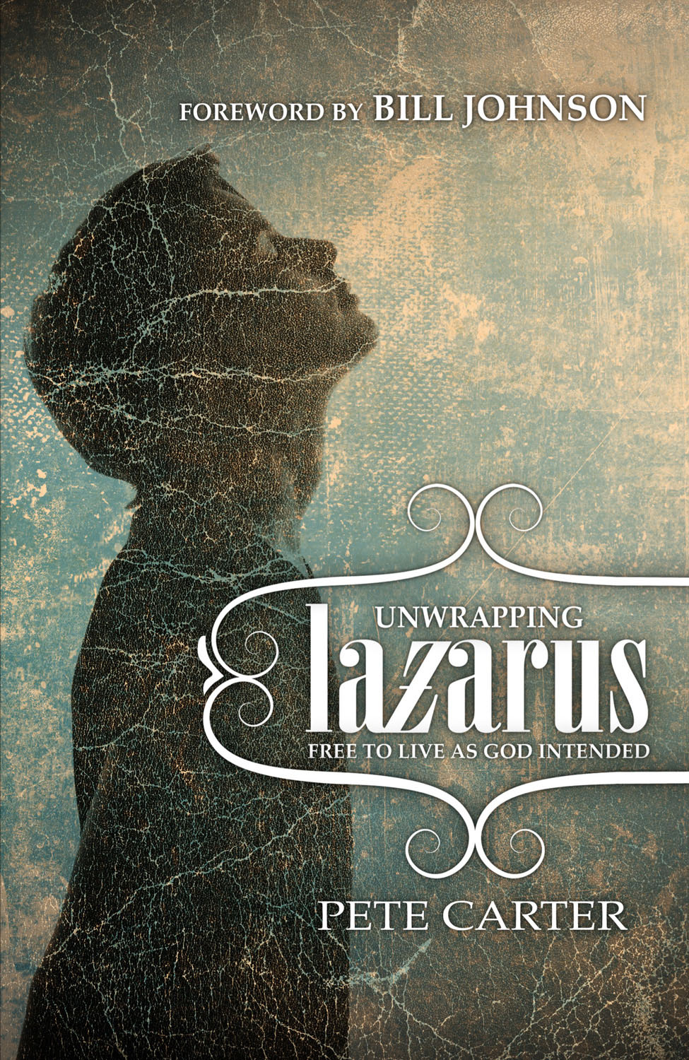 Unwrapping Lazarus By Pete Carter (Paperback) 9781908393289