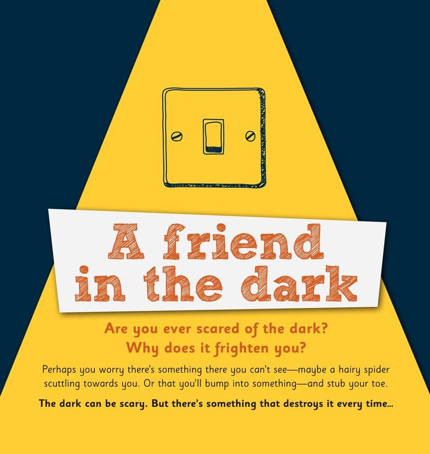 A Friend in the Dark By Alison Mitchell (Paperback) 9781908762207