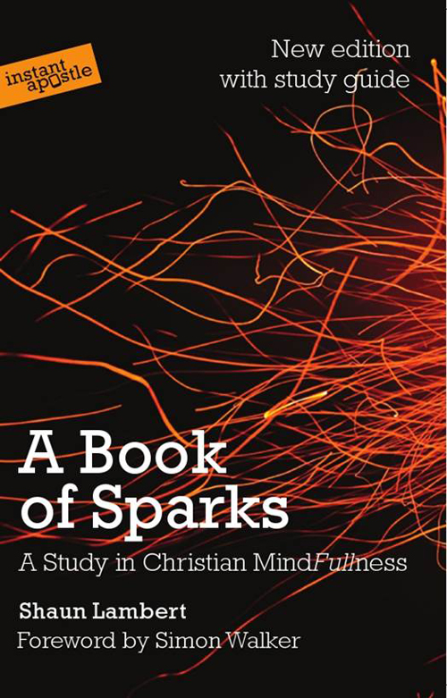 A Book of Sparks By Shaun Lambert (Paperback) 9781909728158