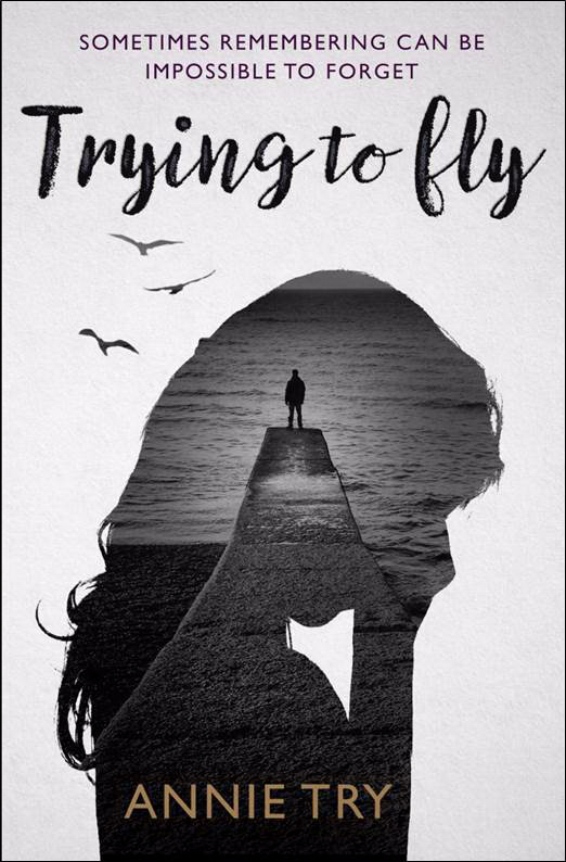 Trying To Fly By Annie Try (Paperback) 9781909728615