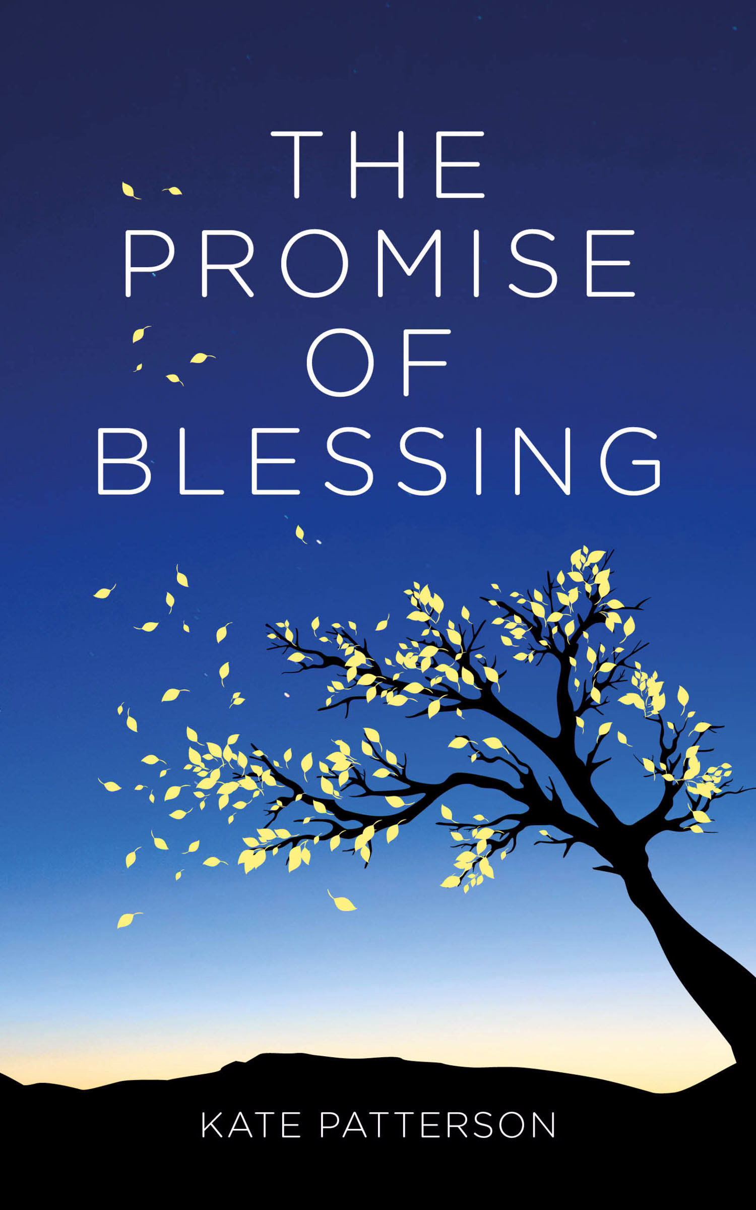 The Promise Of Blessing By Kate Patterson (Paperback) 9781910012260