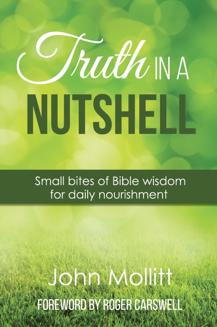 Truth in a Nutshell By John Mollitt (Paperback) 9781910197769