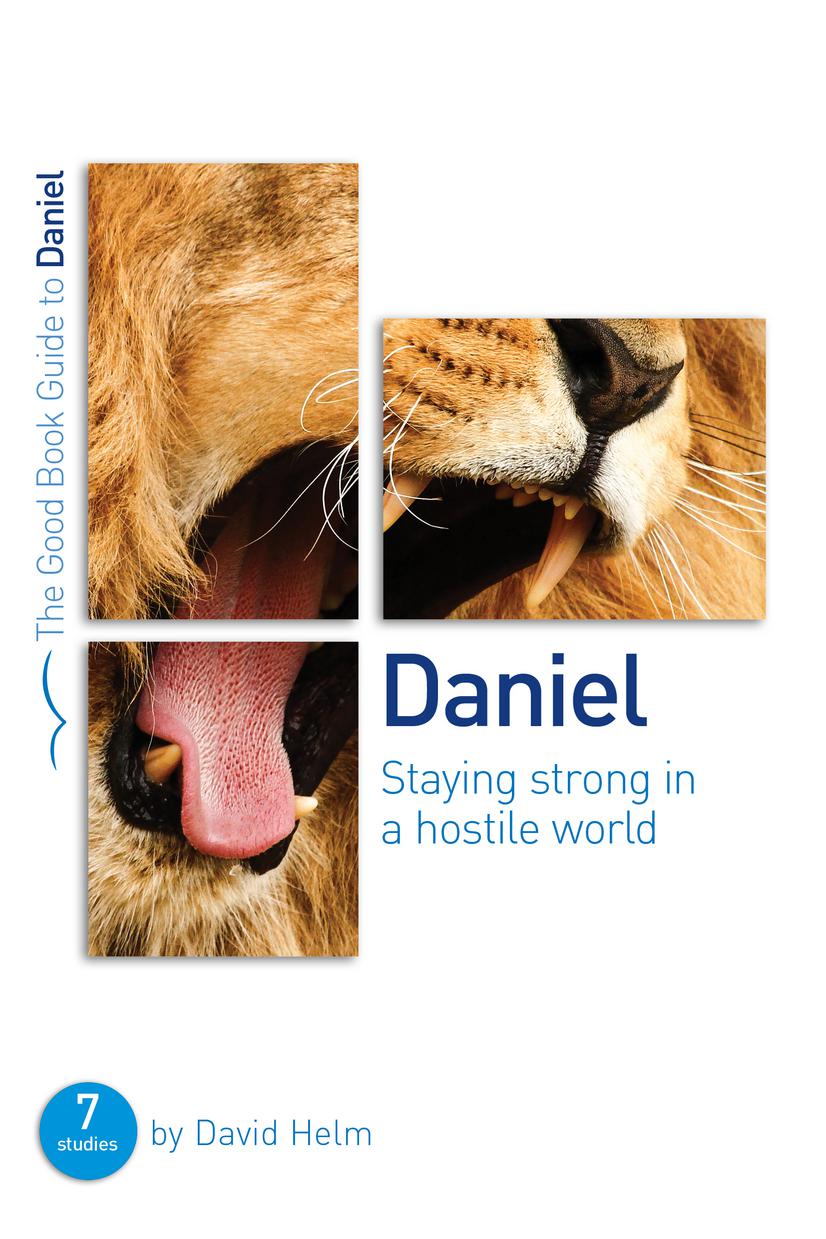 Daniel Staying Strong in a Hostile World By David Helm (Paperback)