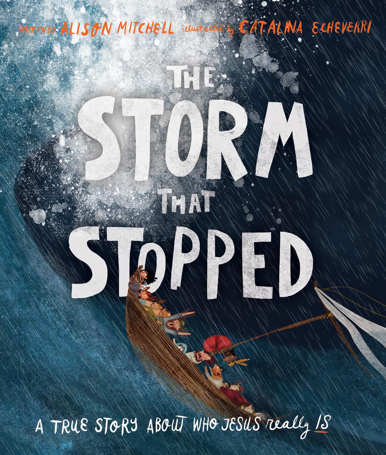 The Storm That Stopped Storybook By Alison Mitchell Catalina Echeverri