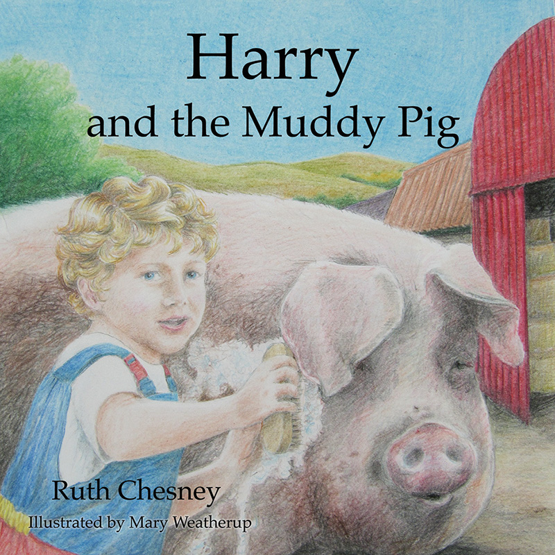 Harry And The Muddy Pig By Ruth Chesney (Paperback) 9781910513743