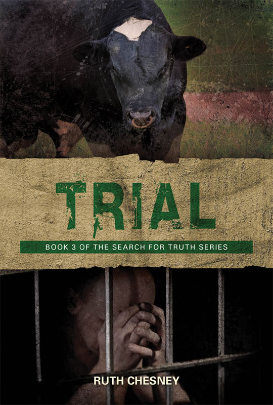 Trial By Chesney Ruth (Paperback) 9781910513910