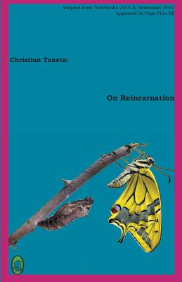 On Reincarnation By Books Lamb (Paperback) 9781910621981