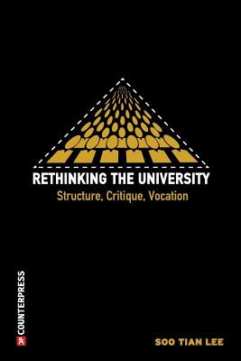 Rethinking the University Structure Critique Vocation By Lee Soo Tian