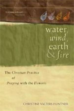 Water Wind Earth and Fire By Christine Valters Painter (Paperback)