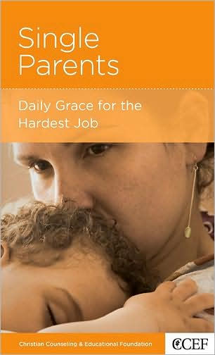 Single Parents By Robert D Jones (Paperback) 9781934885277