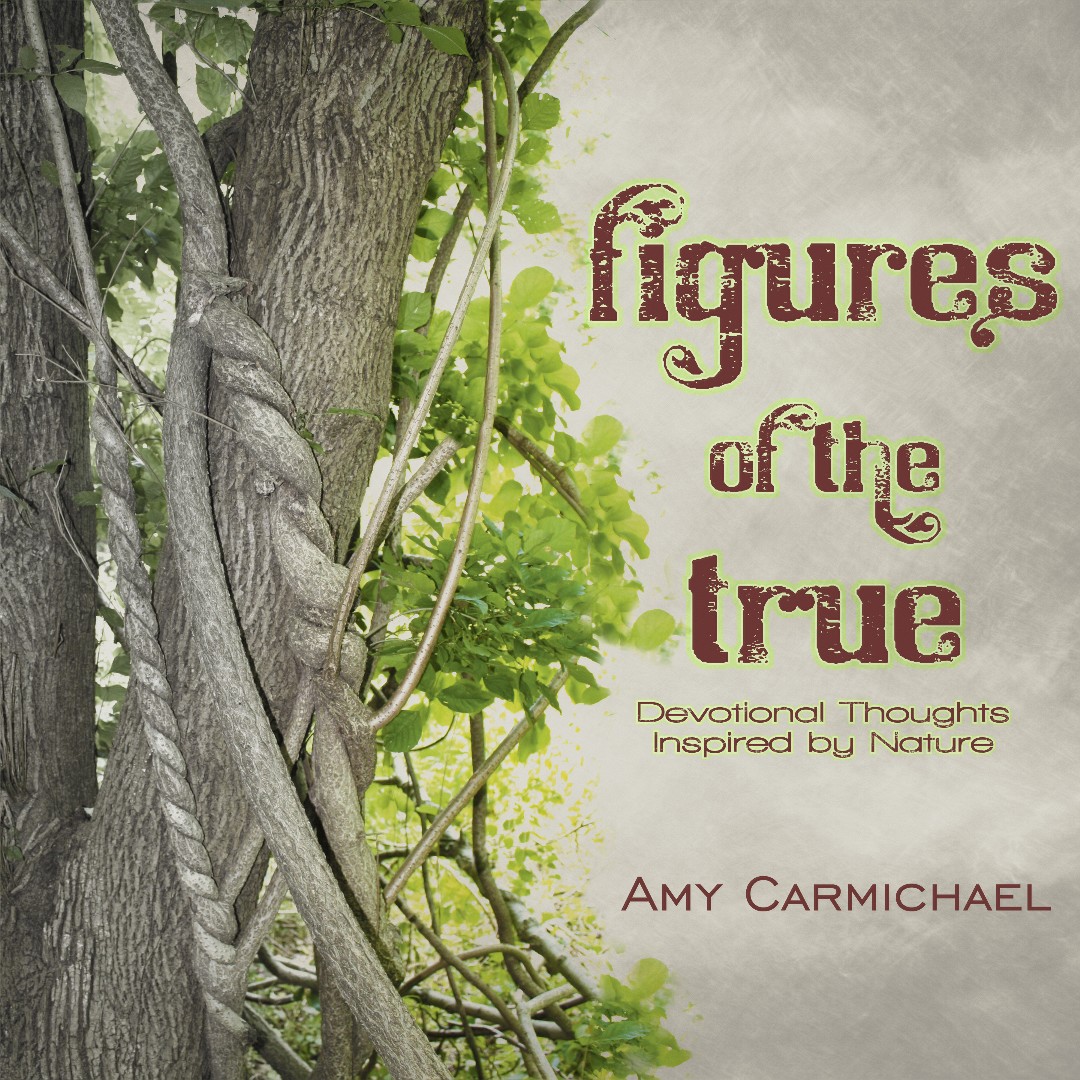 Figures Of The True By Carmichael Amy (Paperback) 9781936143825