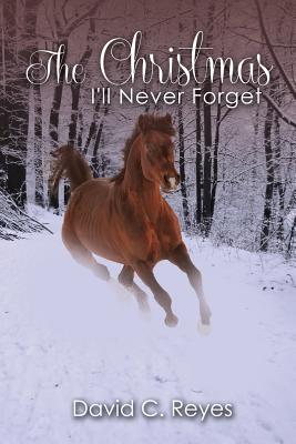 The Christmas I'll Never Forget By Reyes David (Paperback)