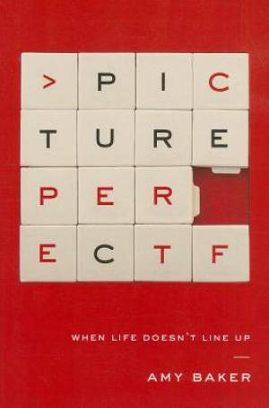 Picture Perfect By Baker Amy (Paperback) 9781939946379