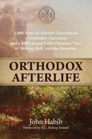 Orthodox Afterlife By John Habib (Paperback) 9781939972125