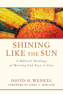 Shining Like the Sun A Biblical Theology of Meeting God Face to Face