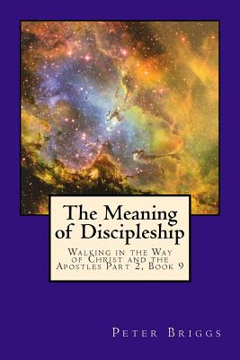 The Meaning Of Discipleship Walking In The Way Of Christ And The Apos