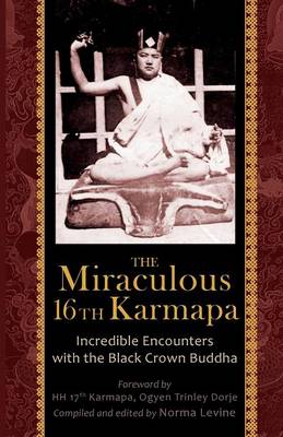 The Miraculous 16th Karmapa By Levine Naomi (Paperback) 9788878341333