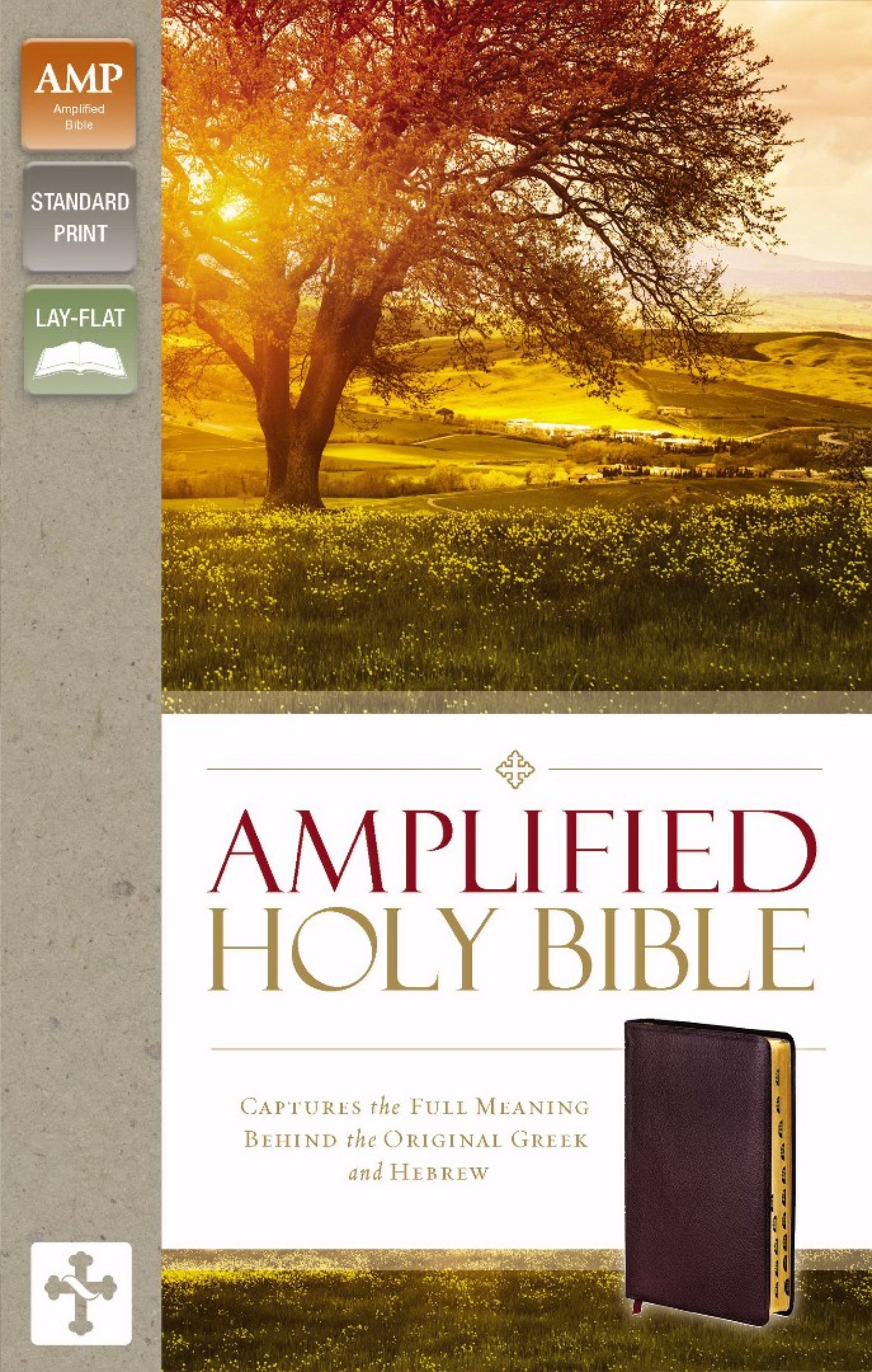 Amplified Thinline Holy Bible Burgundy Bonded Leather Thumb Indexed