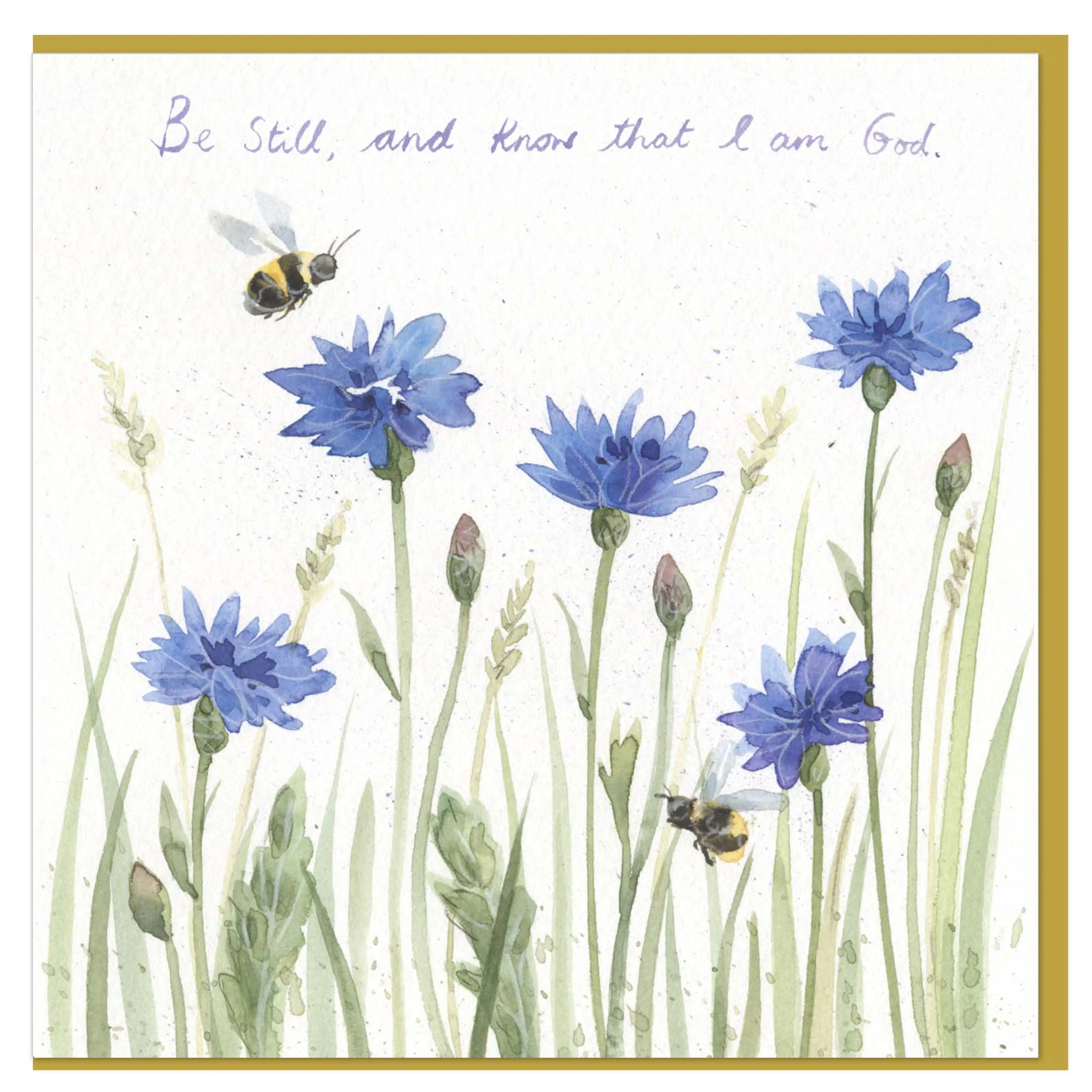 Cornflower Meadow Single Card